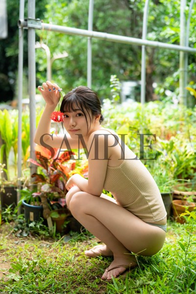 Rena Miyashita (宮下玲奈) photo book image